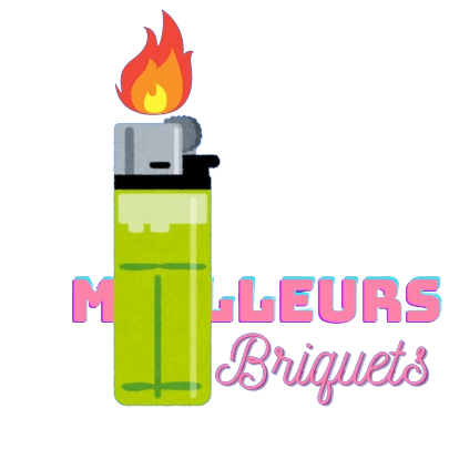 Meilleurs briquets